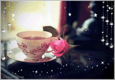 당신의 재치에 감탄하며 놓고가는 등산카페 움짤 모음.gif | 인스티즈