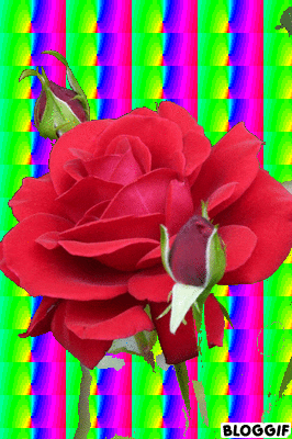 당신의 재치에 감탄하며 놓고가는 등산카페 움짤 모음.gif | 인스티즈