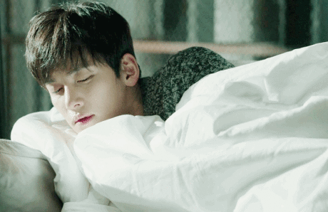 대형견같은 남자 vs 고양이같은 남자 | 인스티즈