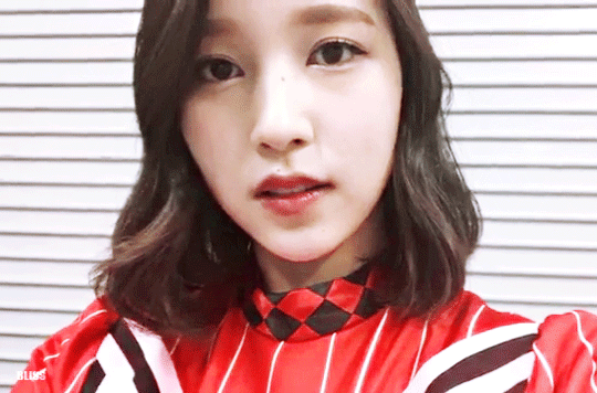 180201 펭귄러버 미나리 V 라이브 - 쇼케이스 마지막 날 | 인스티즈