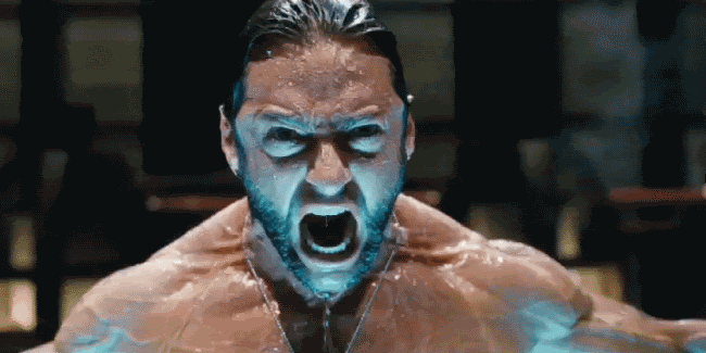 울버린의 휴잭맨 vs 아이언맨의 로다주 | 인스티즈