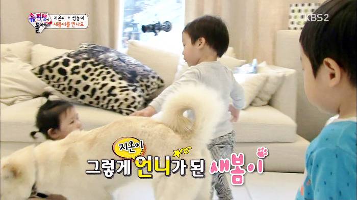 [슈퍼맨이돌아왔다] 서언이가 한없이 관대해지는 존재들ㅋㅋㅋ.JPG | 인스티즈