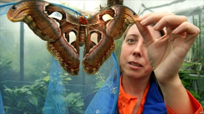 [고르기] 나방손으로 오분동안만지고 뽀뽀vs이명박이랑 딥키스 | 인스티즈