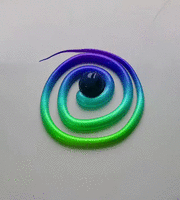 섞이지 않는 물감.gif | 인스티즈