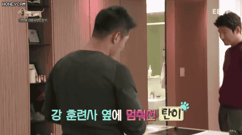 강아지 강씨 | 인스티즈