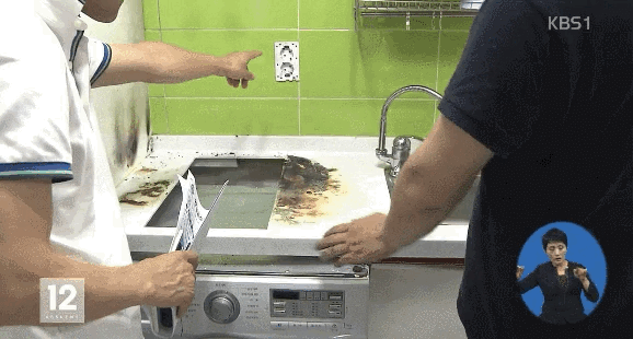 냥이의 위험성.gif | 인스티즈