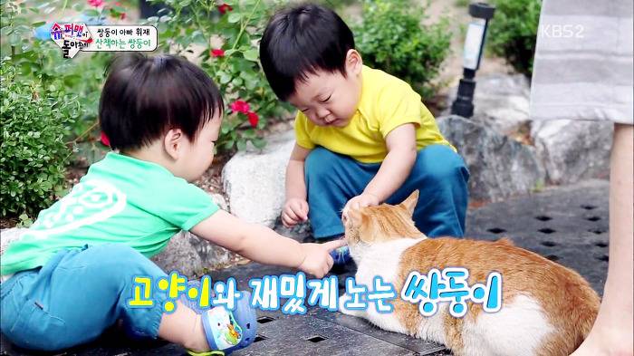 [슈퍼맨이돌아왔다] 서언이가 한없이 관대해지는 존재들ㅋㅋㅋ.JPG | 인스티즈