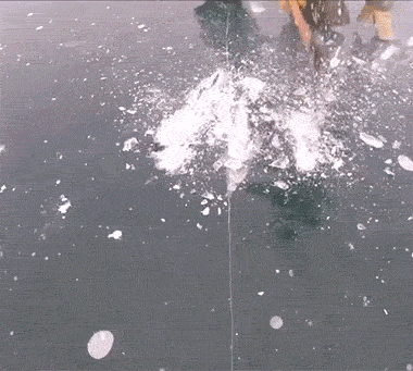 낚시를 시작하려고 하는데.gif | 인스티즈