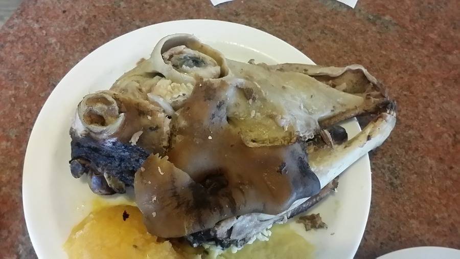 아이슬란드에서 먹은 충격적인 양머리 요리.jpg (혐오주의) | 인스티즈