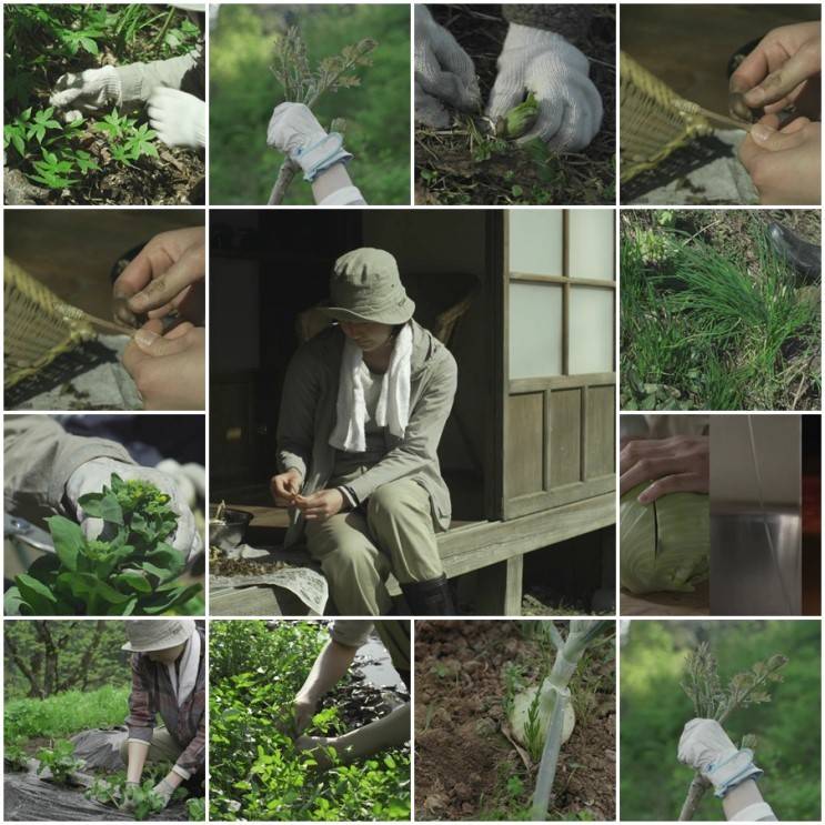 한국에서 리메이크 예정인 일본 힐링영화 리틀포레스트 (Little Forest) | 인스티즈