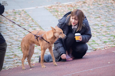 [에이핑크] 점심 먹고와서 하영이 | 인스티즈