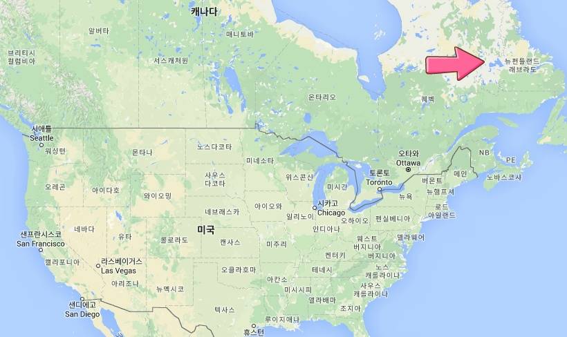 견종 이야기 - 래브라도 리트리버 | 인스티즈