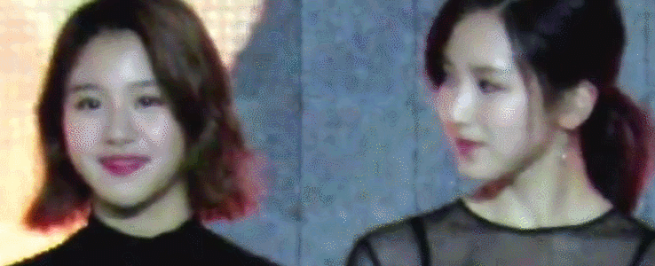 [트와이스] 아기맹수 채영이 악성 사생팬 ㄷㄷㄷ | 인스티즈