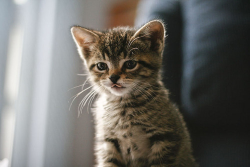 한 아이돌이 팬들에게 한말 | 인스티즈