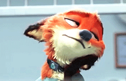 주토피아 초기 설정의 닉.gif (코피퐝주의) | 인스티즈