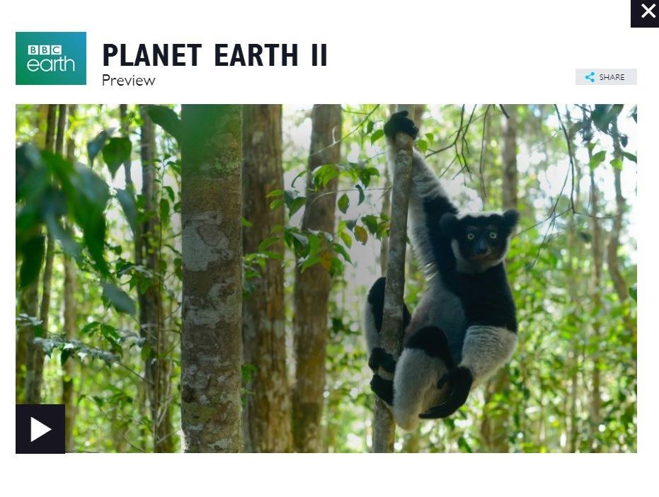 BBC다큐 역대급 편으로 꼽히는 이구아나vs뱀 | 인스티즈