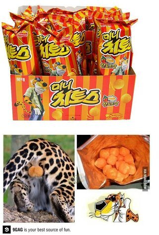 남자친구 고르기 | 인스티즈