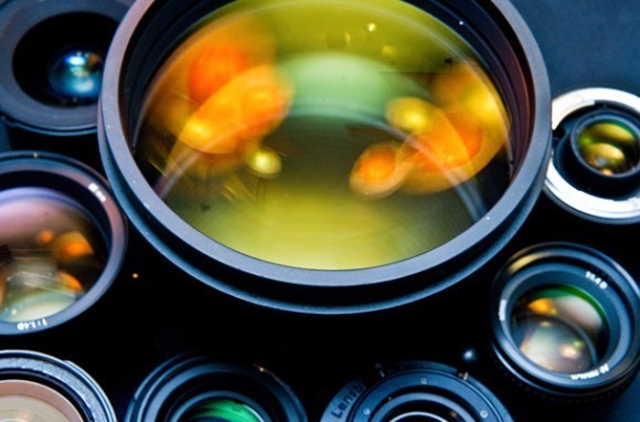 인간의 신기한 심리적 사실 10가지 | 인스티즈