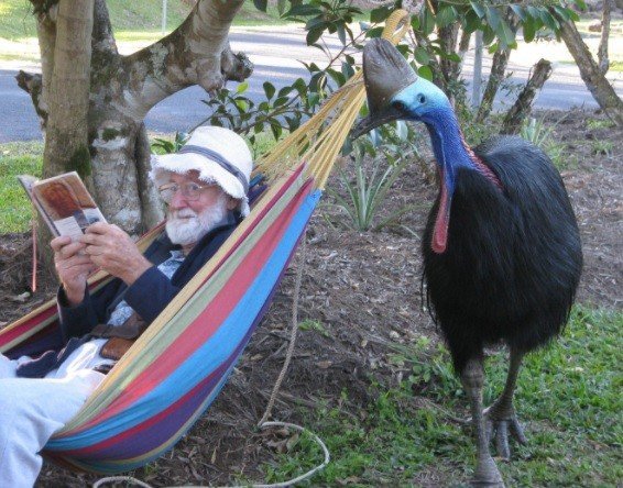 세계에서 가장 위험한 새 | 인스티즈