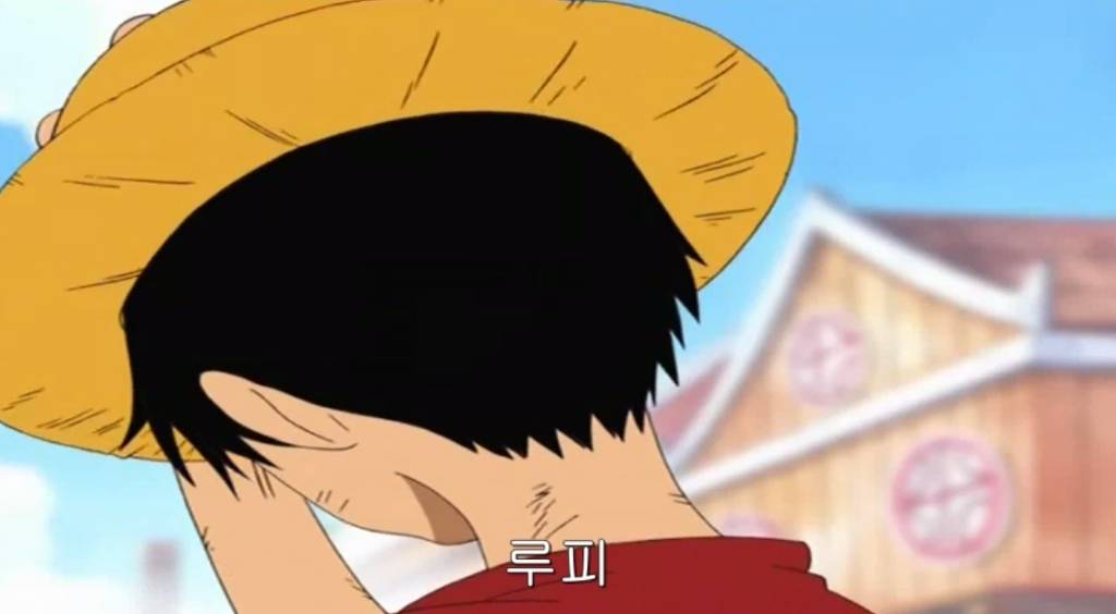 루피 원피스에서 주인공 답던 시절.jpg | 인스티즈