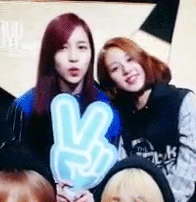 [트와이스] 아기맹수 채영이 악성 사생팬 ㄷㄷㄷ | 인스티즈