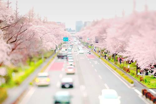 가슴이 아릿해지는 시 모음 | 인스티즈