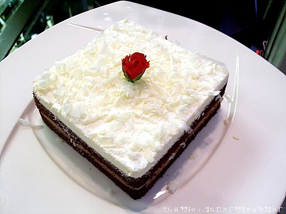 여시들의 케이크 타입은?? | 인스티즈