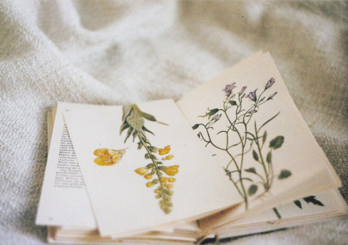 한 아이돌이 팬들에게 한말 | 인스티즈