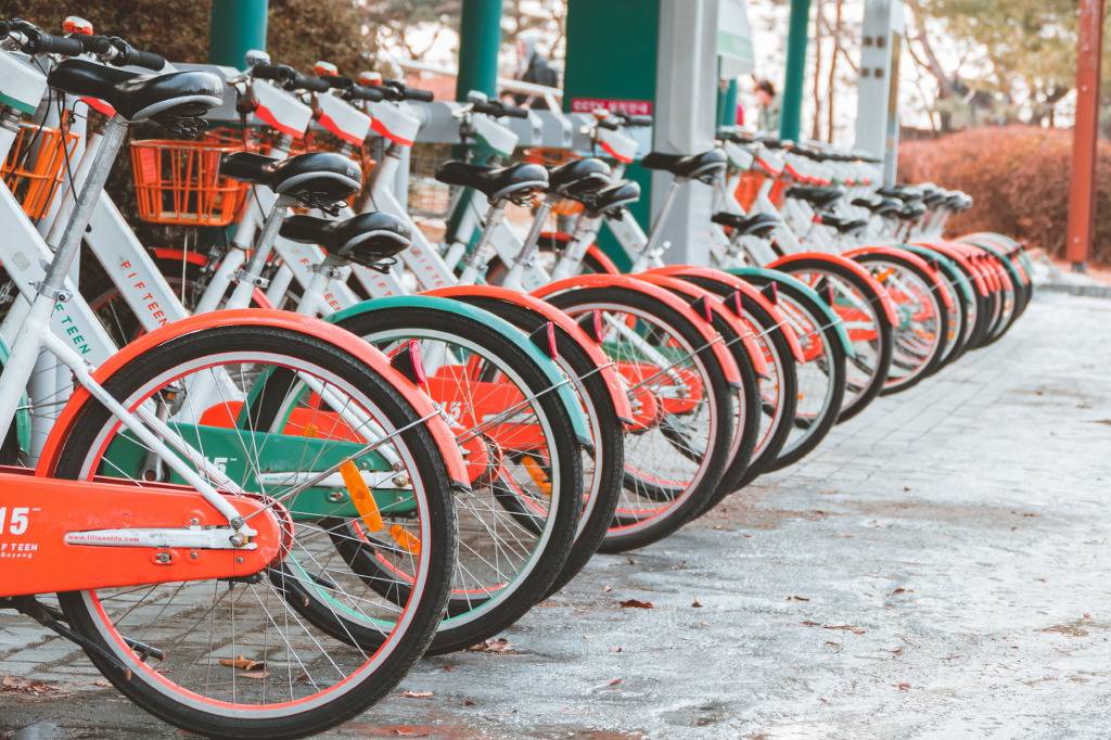 취미 생활로 찍은 사진들 | 인스티즈