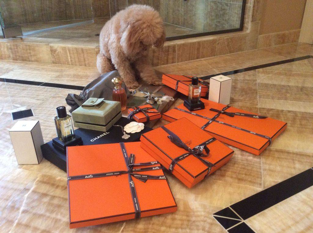 여자들이 꿈꾸는 완벽한 삶.jpg | 인스티즈