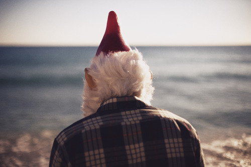  내 사랑은 탄식의 아름다움으로 수놓인 황혼의 나라 였지 | 인스티즈