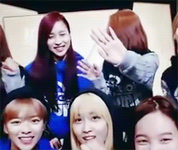 [트와이스] 아기맹수 채영이 악성 사생팬 ㄷㄷㄷ | 인스티즈