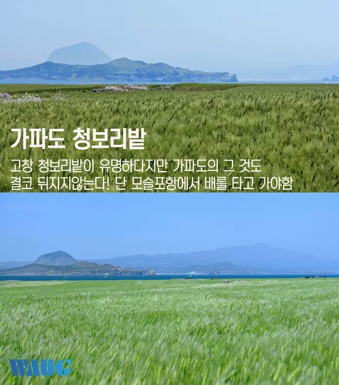 그리 유명하지 않은 제주도 숨은 여행지 7곳 | 인스티즈