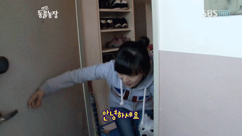 우리엄마 우리하테 왜이래오...(멍무룩) (동물농장 사모예드엄마+아가들) | 인스티즈