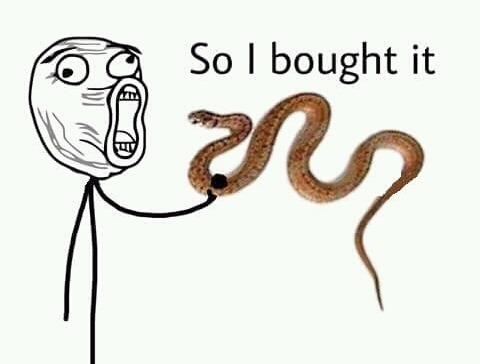 의사샘이 이거 사라고 해서 | 인스티즈