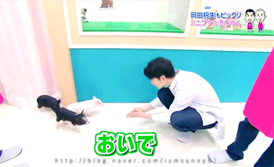 도죠머리(울프컷,샤기컷)말고 요즘 유행하는 스타일로 해주는 일본남자 대표 연예인 두명+도죠머리가 잘어울리는 배우 한명 | 인스티즈