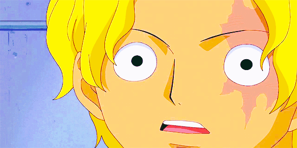 원피스 사보x코알라 .GIF | 인스티즈