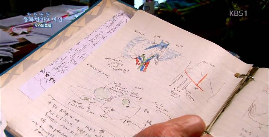 흔치 않은 대한민국의 외과의사.jpg | 인스티즈