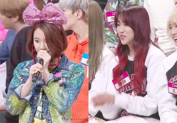 [트와이스] 아기맹수 채영이 악성 사생팬 ㄷㄷㄷ | 인스티즈