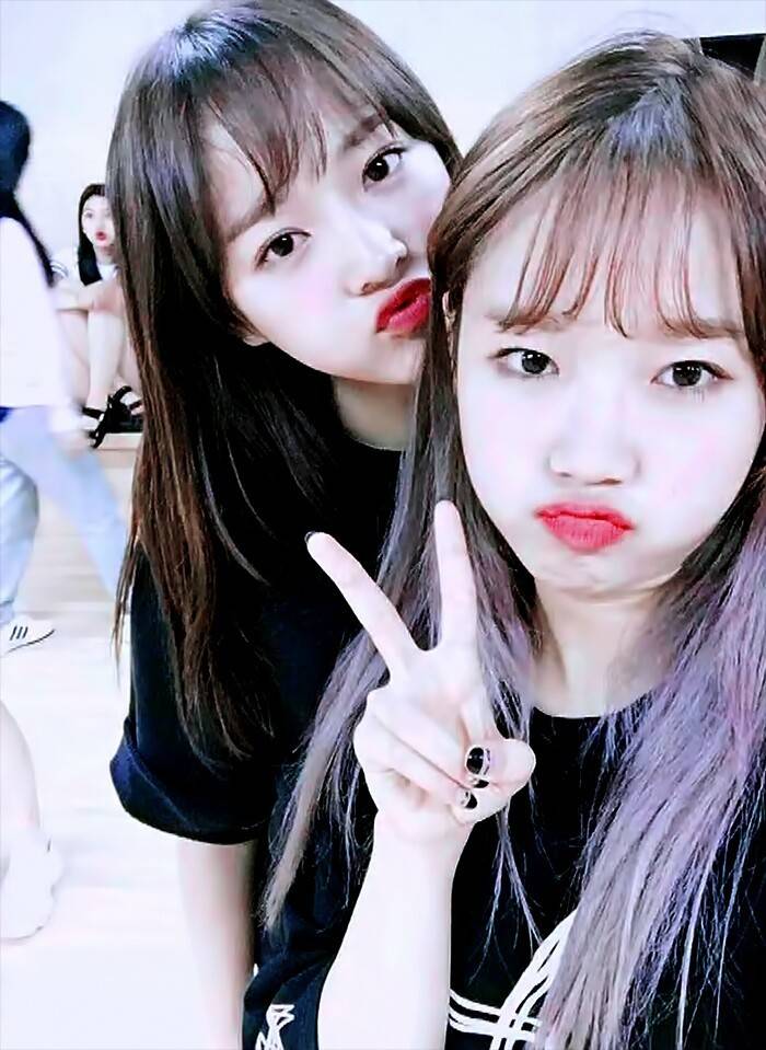 아이오아이에서 가장 좋아하는 김세정-최유정 커플.jpgif | 인스티즈
