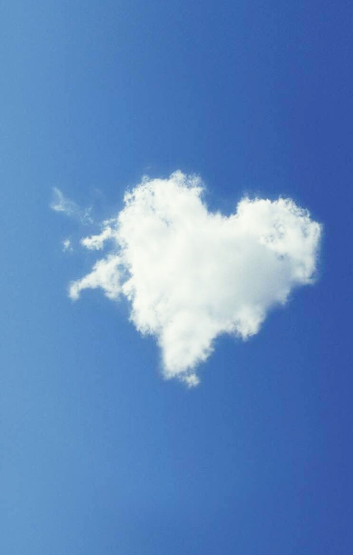 한 아이돌이 팬들에게 한말 | 인스티즈