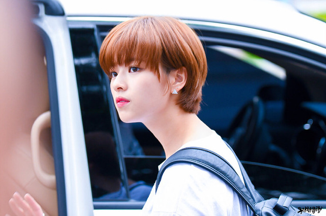 트와이스 숏컷취향 남팬 다수 보유자.jpg | 인스티즈