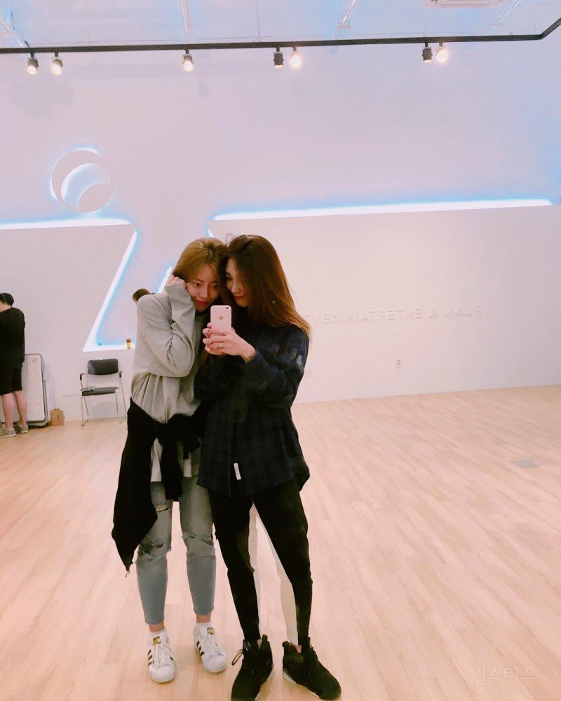 에이핑크가 이사시킨 플랜에이 (구 에이큐브) 소속사 사옥 (아이돌 하나 잘 키우면...2) | 인스티즈