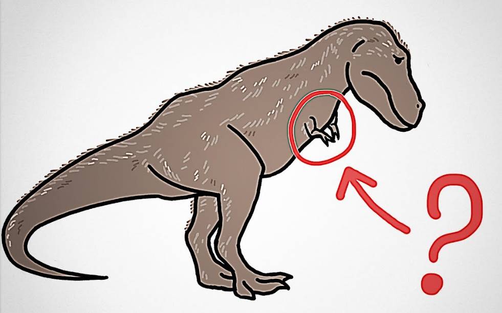 티라노사우루스가 박수를 못치는 이유는?? | 인스티즈