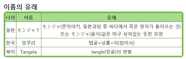 [고북손의포켓몬도감] 덩쿠리의 비밀 | 인스티즈