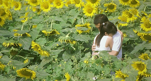 한국에서도 인기 많았던 일본 로맨스 영화들 | 인스티즈