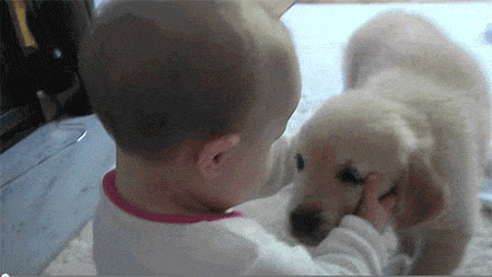 첫경험 모음.gif | 인스티즈