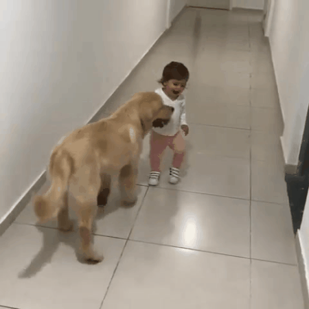 인절미들.gif | 인스티즈