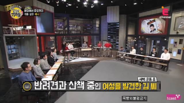 [용감한기자들] 견주가 반려견이 싼 똥을 치우지 않는경우"개똥 같은 매너" | 인스티즈