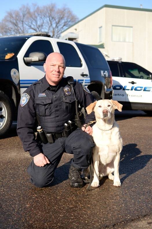 견종 이야기 - 래브라도 리트리버 | 인스티즈